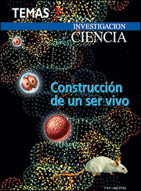 1996 Construccion De Un Ser Vivo